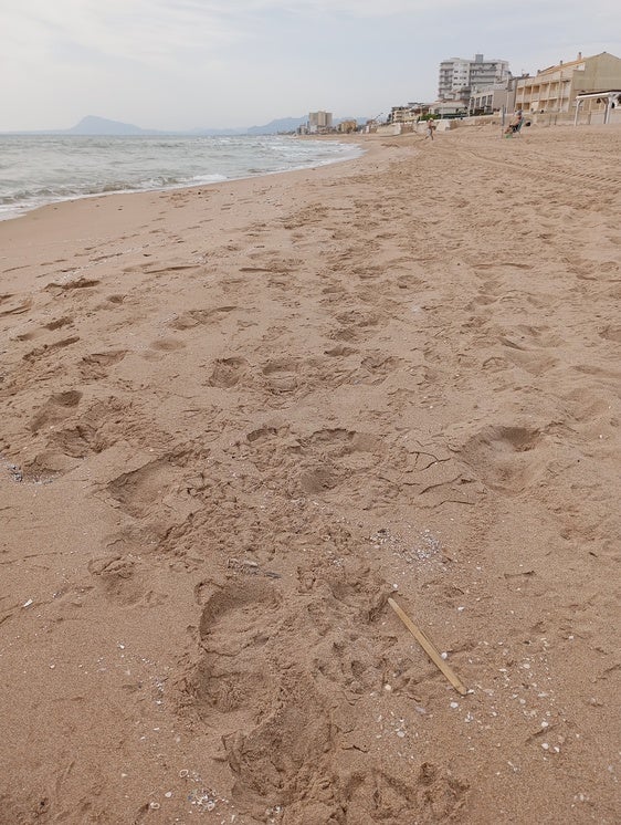 La playa de Daimús, en la mañana de este martes.