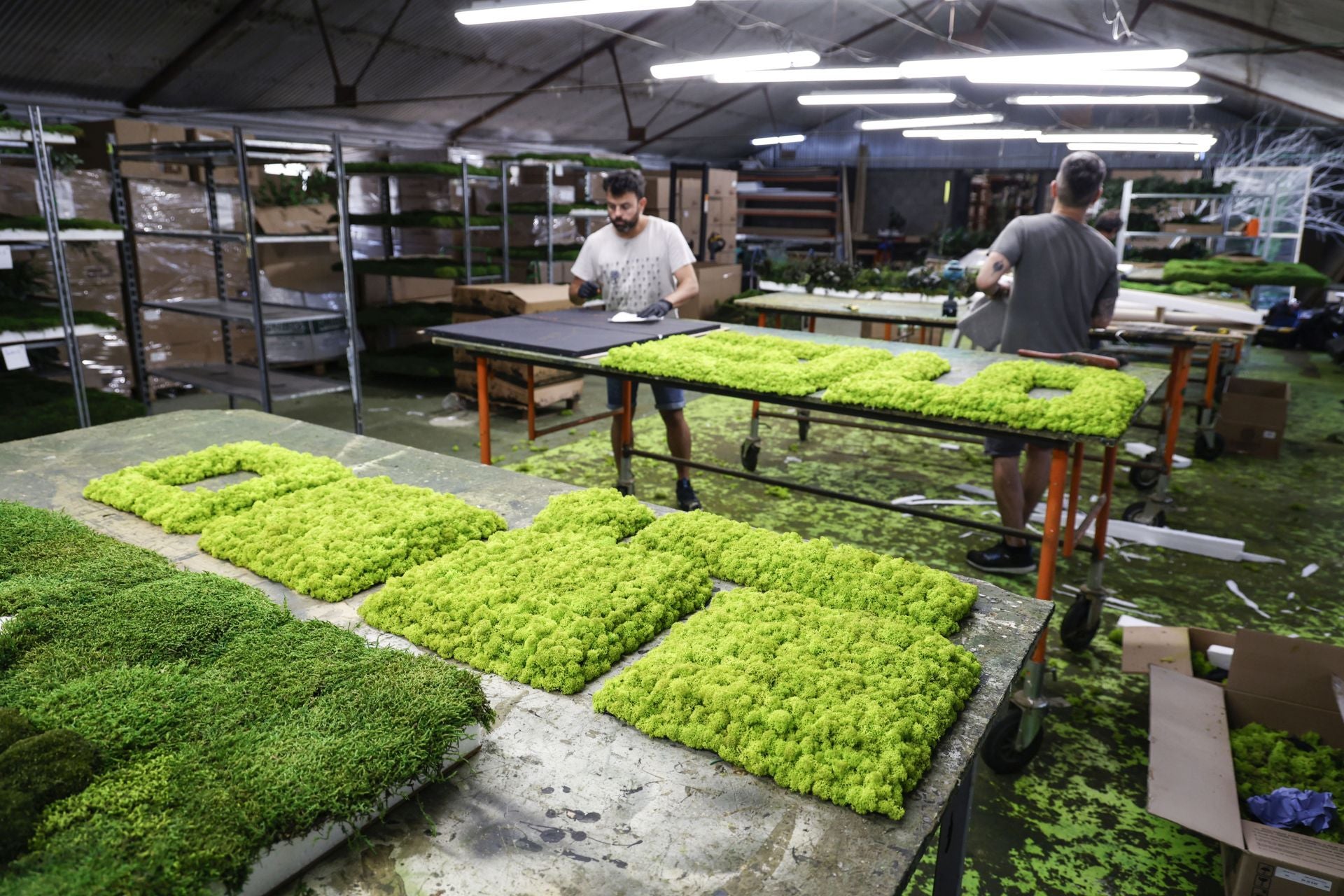Imagen principal - Instalaciones de Greenarea, Salvador Martínez, su CEO, y algunas plantas preservadas, almacenadas