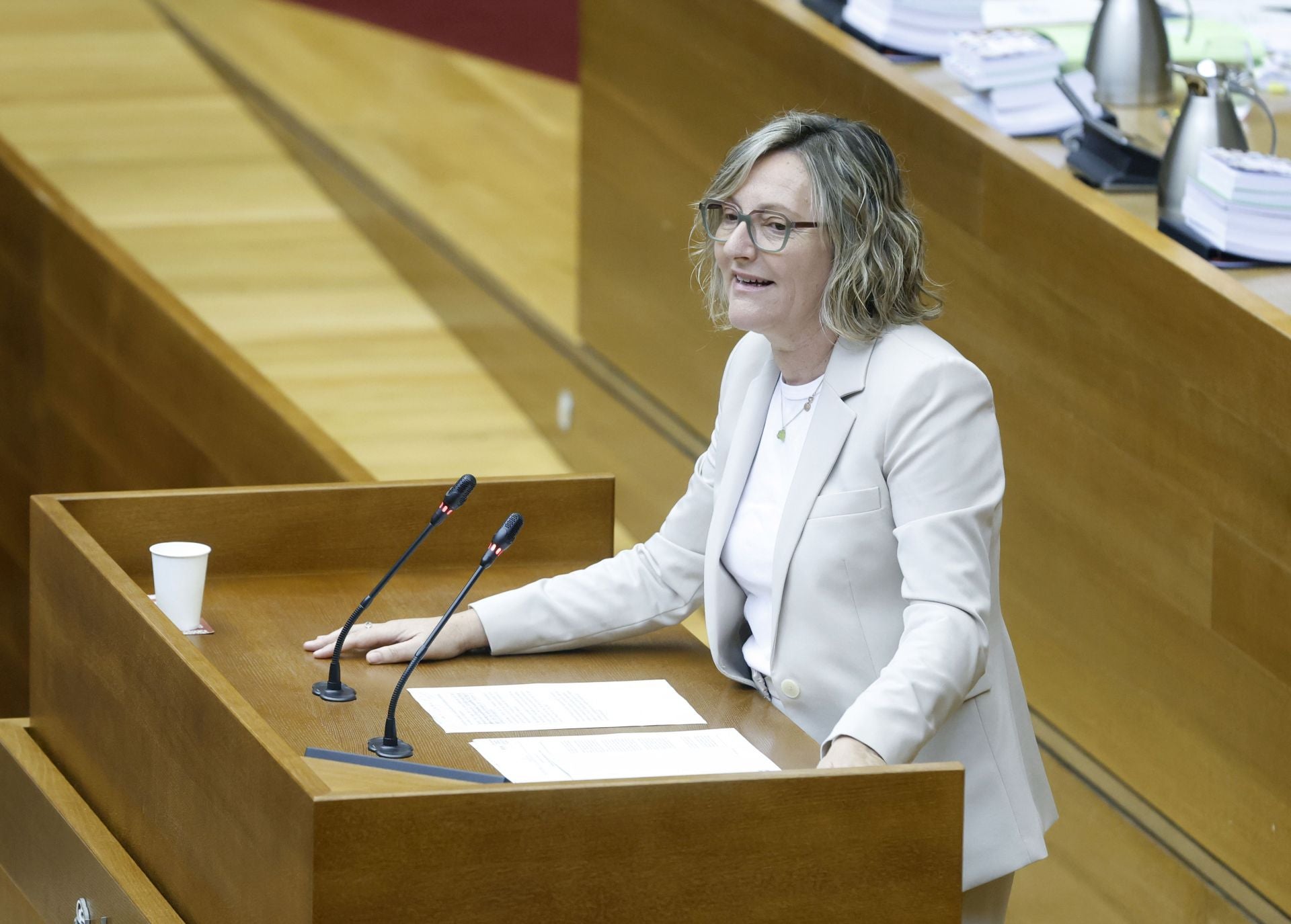 Fotos del pleno de les Corts (11 de junio de 2025)