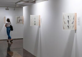 Exposición de Isidoro Valcárcel en el IVAM.
