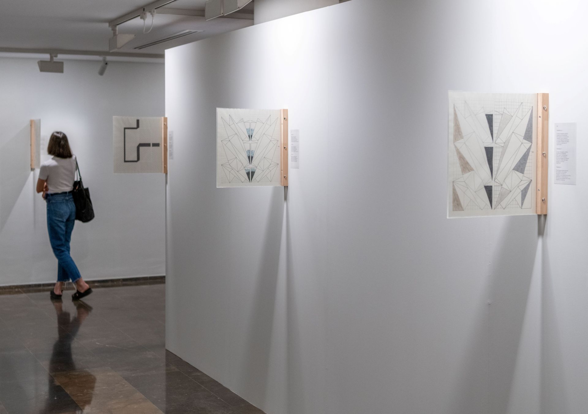 Exposición de Isidoro Valcárcel en el IVAM.
