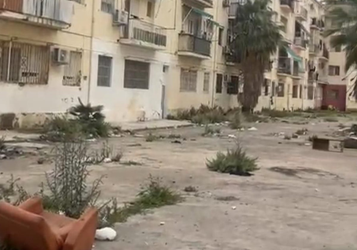 Imagen principal - Estado actual de los edificios inspeccionados en las Casitas Rosa.