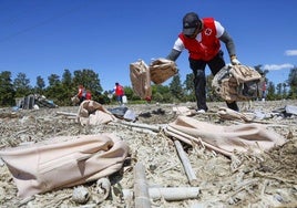 Voluntarios de la Cruz Roja recogen basura.