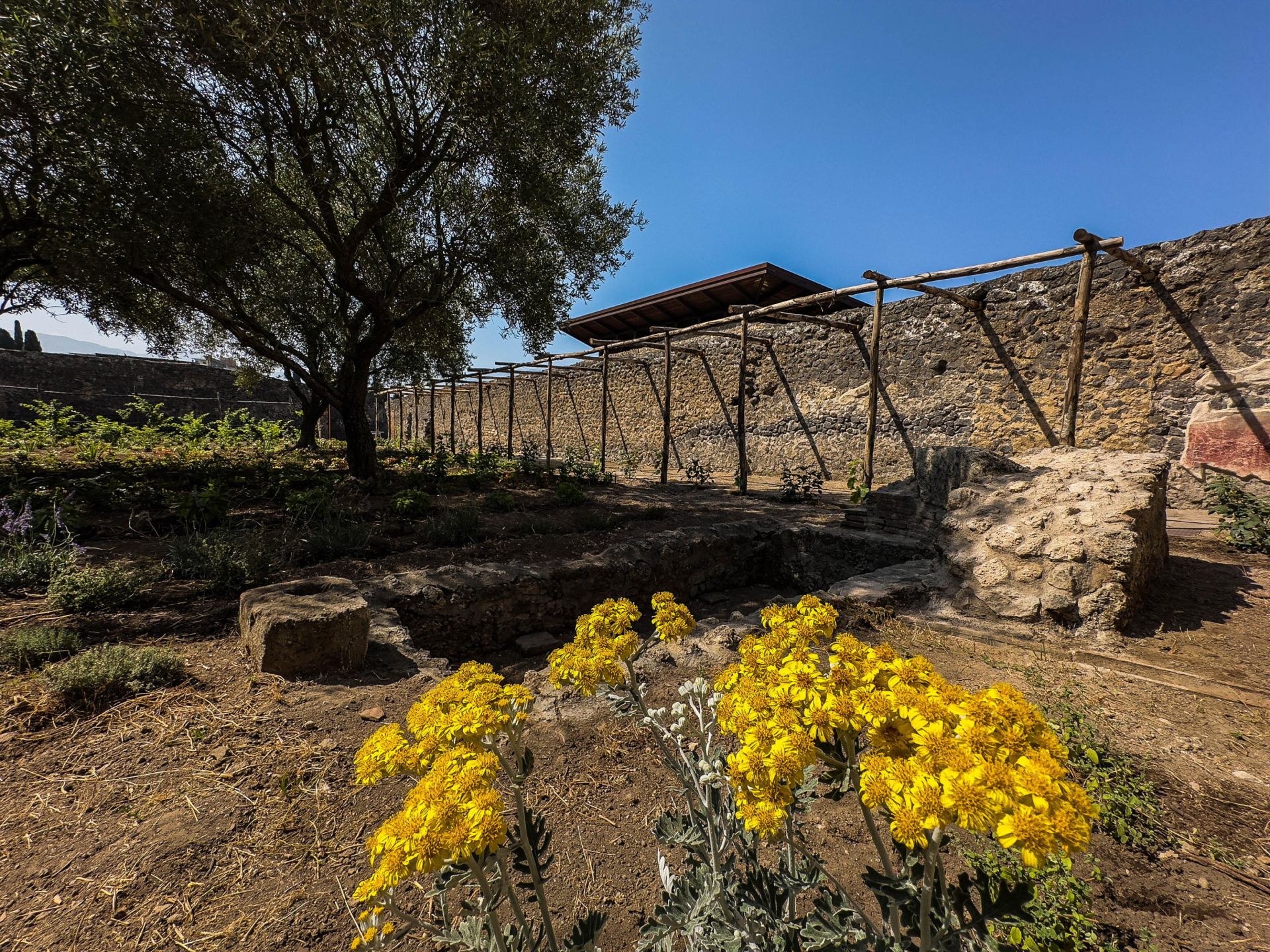 Renace la Casa Jardín de Hércules en Pompeya