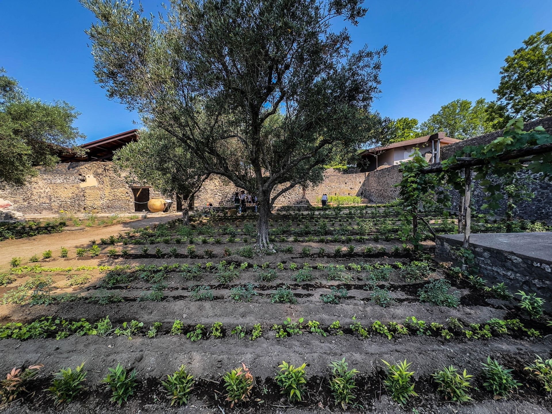 Renace la Casa Jardín de Hércules en Pompeya