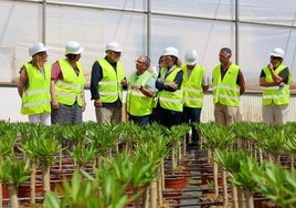 Vivero de Torrent con la comitiva en la visita de obras este jueves.