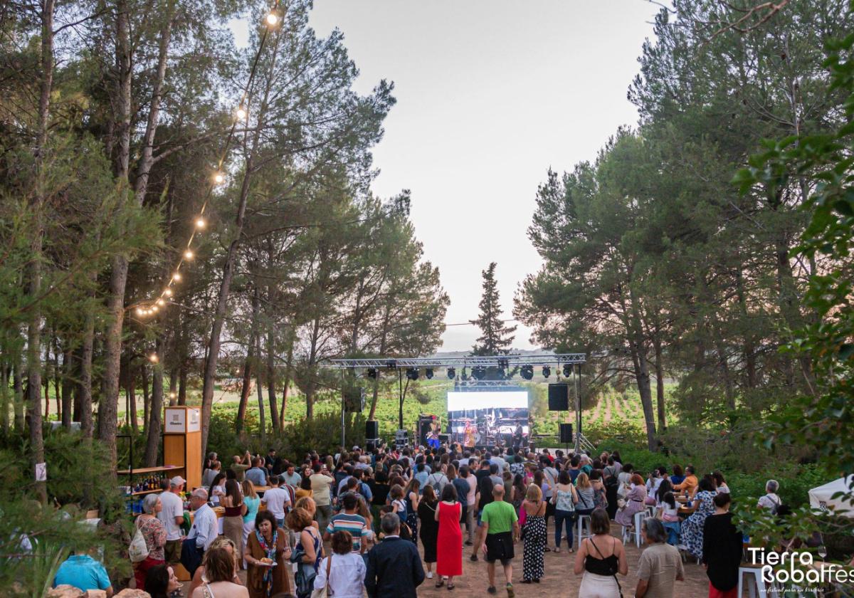 Música, naturaleza y viticulturaen Tierra Bobal Fest.