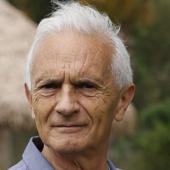 Imagen - «Uno de los problemas más grandes es la gran afluencia al parque»