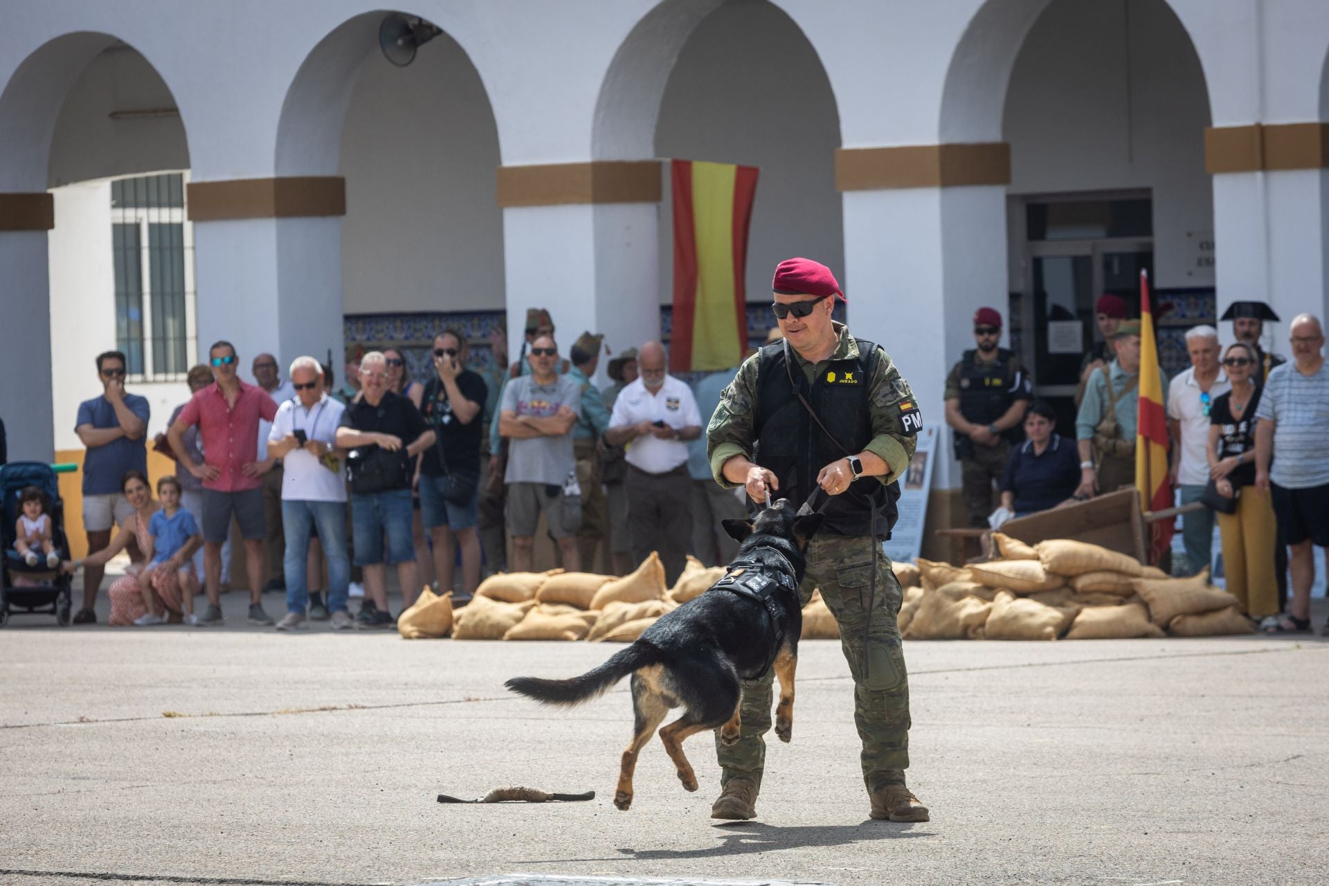 Fotos de las recreaciones históricas en el Museo Militar de Valencia 2025