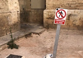 Excrementos en los alrededores de la Catedral de Valencia.