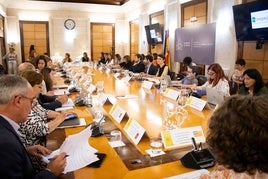 Consejo Territorial de Servicios Sociales.