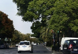 Tráfico en la avenida Blasco Ibáñez de Valencia.