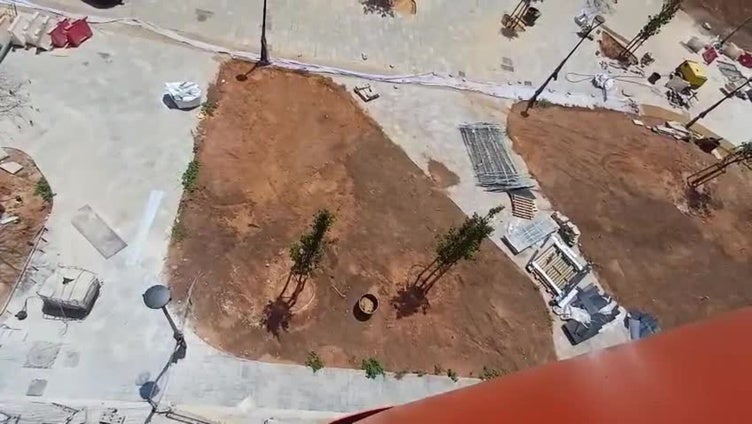 El arbolado ya luce en el recinto del Roig Arena