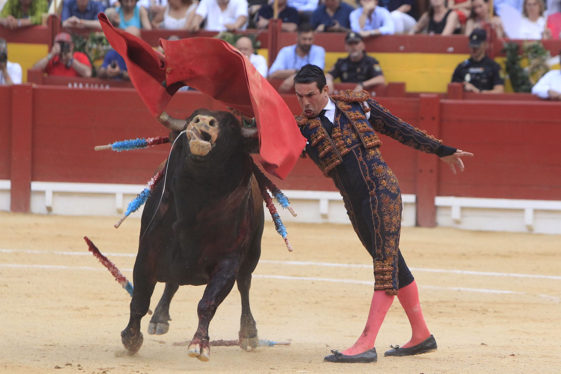 FOTOS | Toros en Alicante: Roca Rey, Manzanares y Navalón