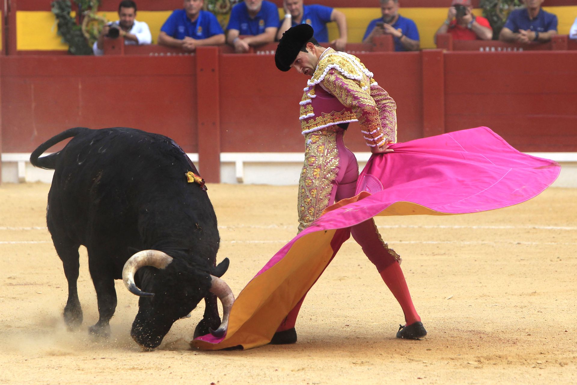 FOTOS | Toros en Alicante: Roca Rey, Manzanares y Navalón