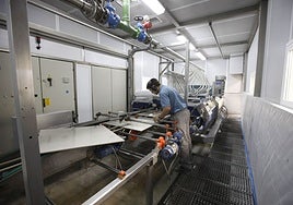 Un operario del sector cerámico en una línea de producción.