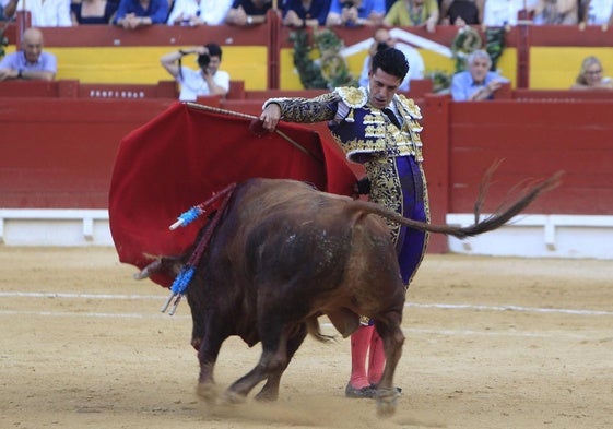 El diestro Alejandro Talavante con su segundo toro, hoy en Alicante.