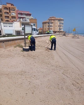 Trabajadores en una de las playas de Sueca.