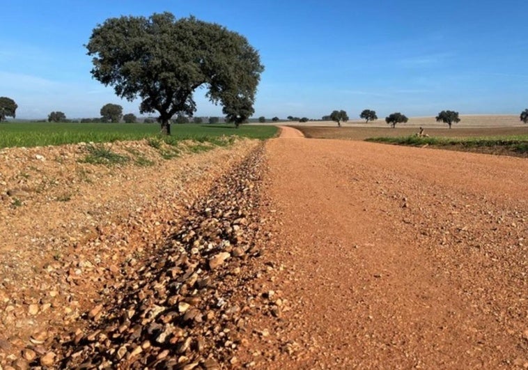 La DGT advierte de que conducir por estas carreteras no oficiales puede suponer hasta 30.000 euros de multa
