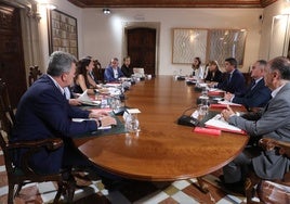 El pleno del Consell reunido este jueves en el Palau.