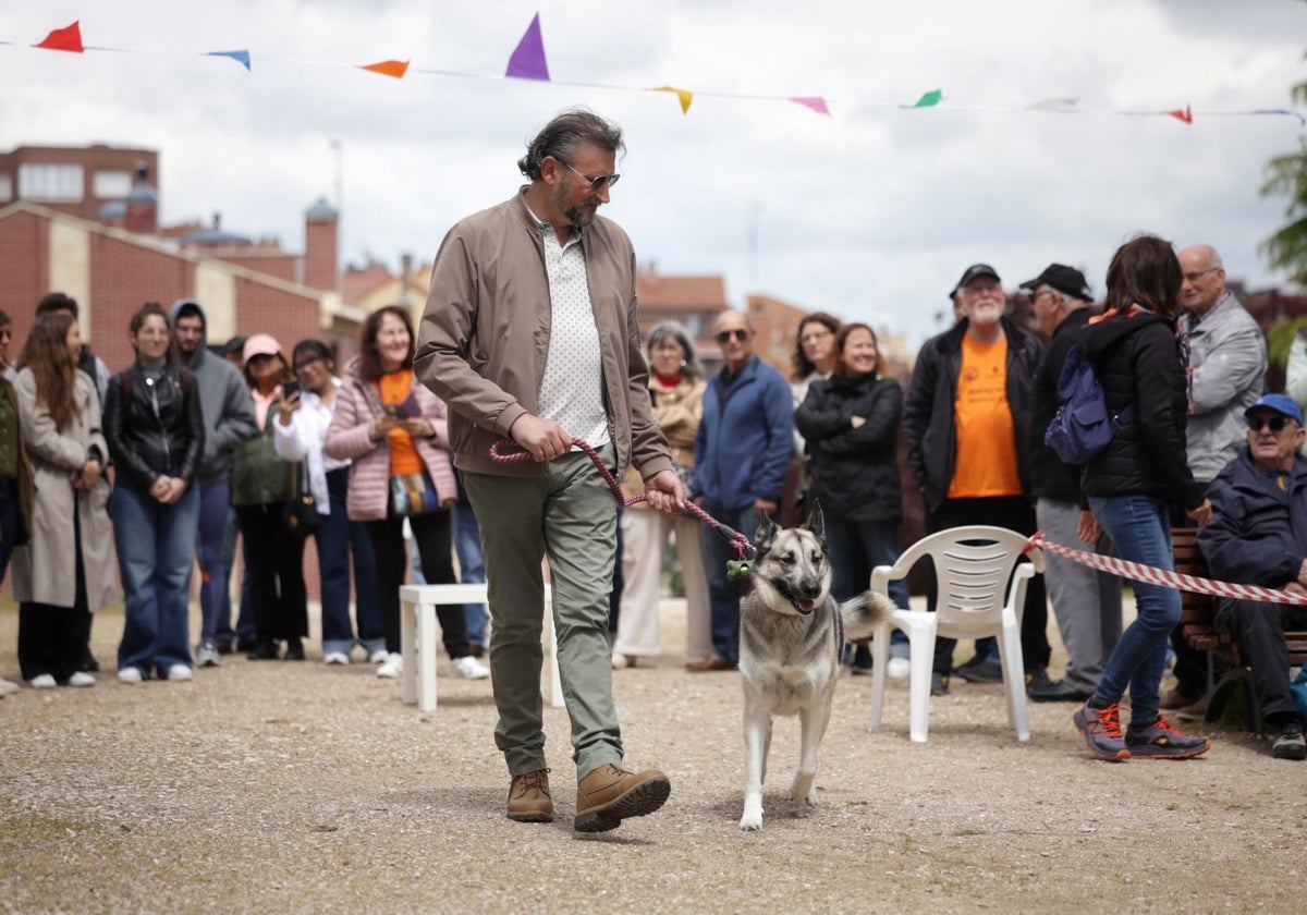 Un perro con su dueño en una muestra.