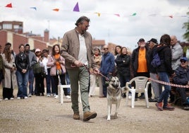 Un perro con su dueño en una muestra.