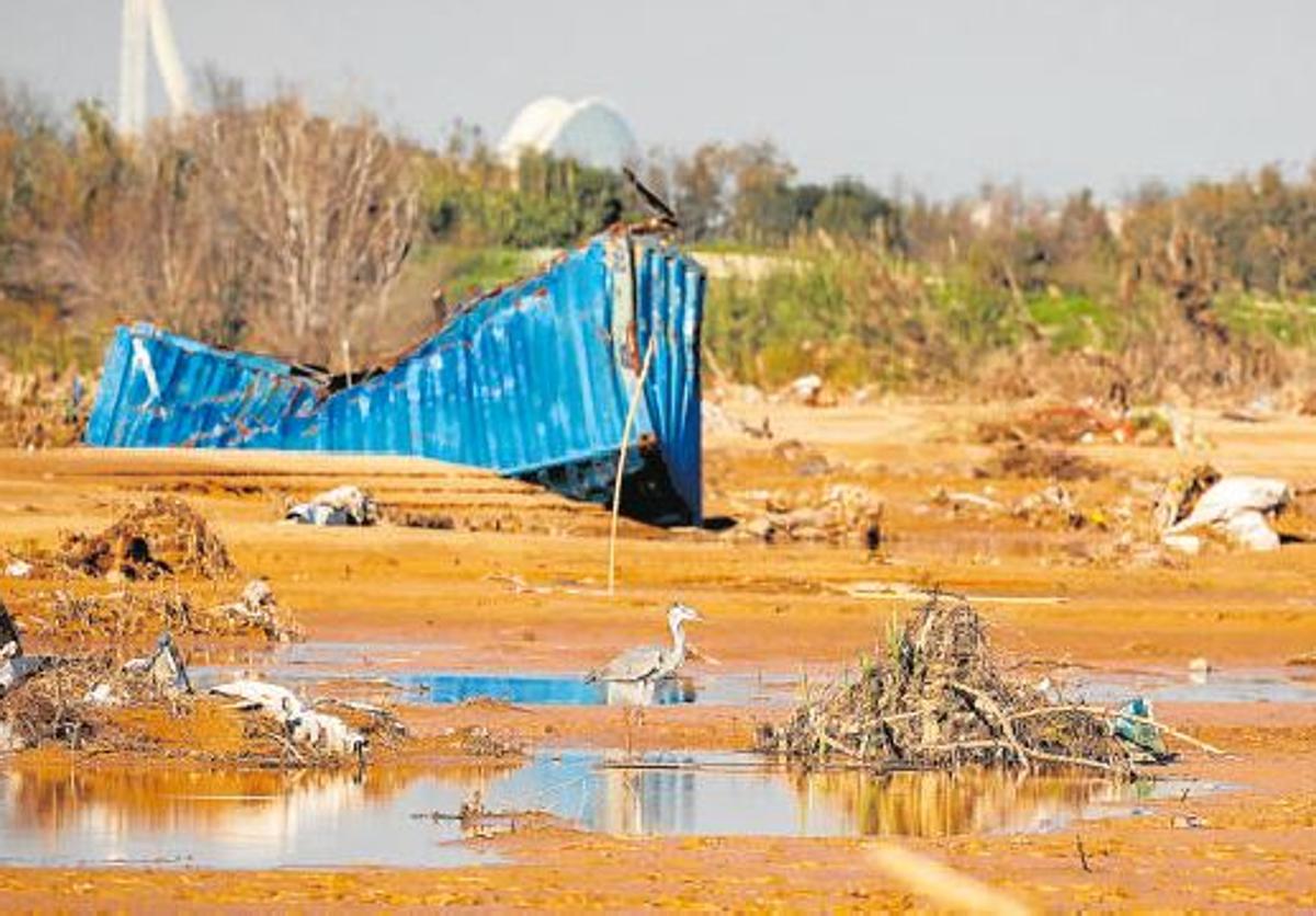 El Consell creará un macroparque en la zona cero para mitigar otra dana