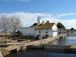 La fundación Assut centra sus esfuerzos en cuidar y conservar la Albufera.