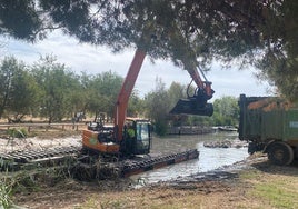 Dragado del puerto de Catarroja.