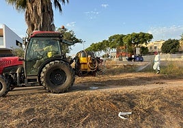 Fumigación en las calles de la localidad.