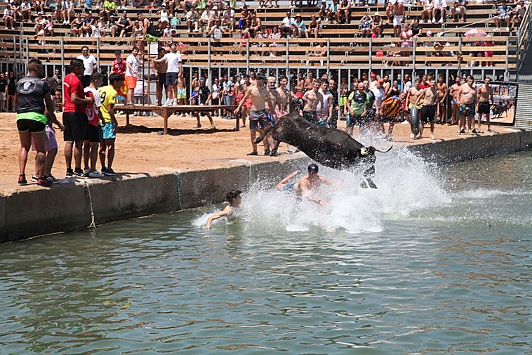 Celebración dels bous a la mar