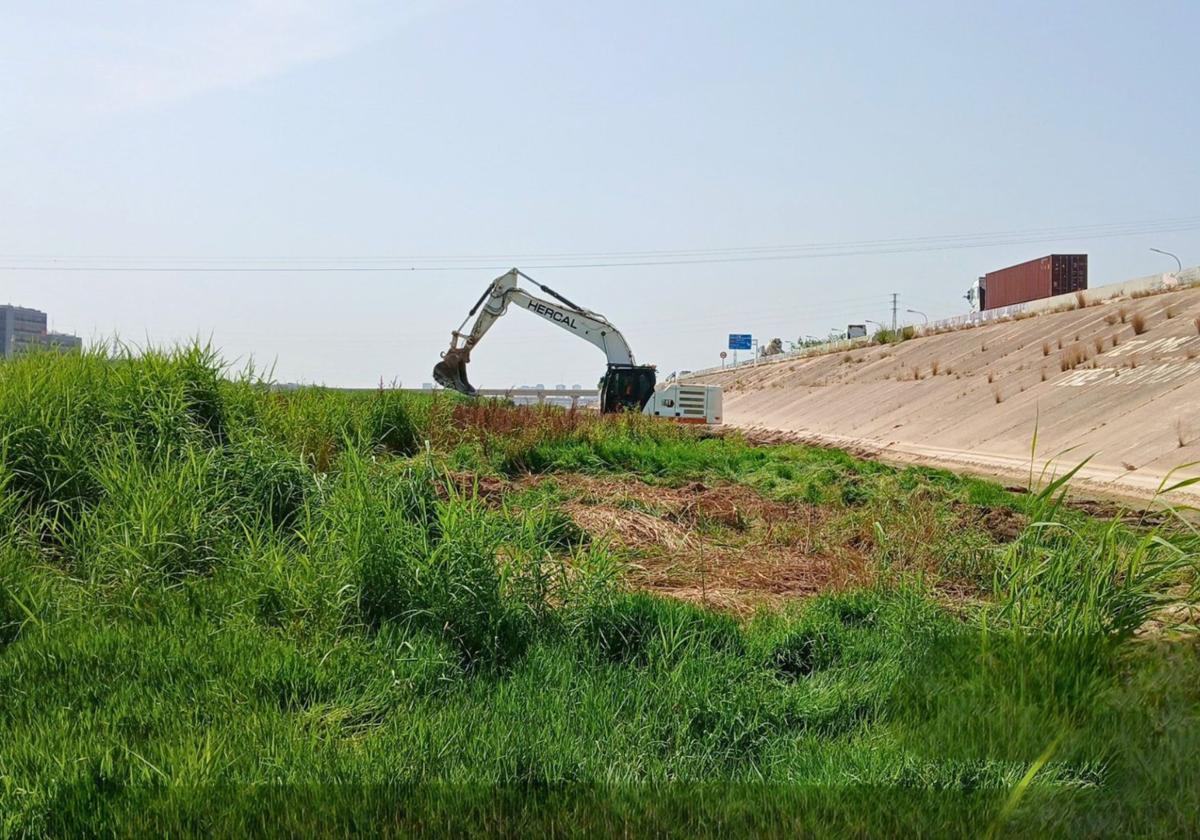 Una excavadora trabaja en un tramo del nuevo cauce.