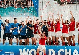 La selección al completo celebra el título