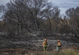 Zona afectada por el incendio de octubre de 2023.