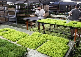 Instalaciones de Greenarea