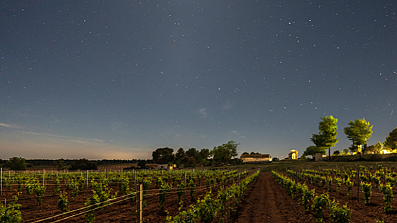 Vuelve el Circuito Starlight Tierra Bobal