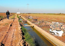 Restos de la dana, acumulados alrededor de una acequia de la Albufera.