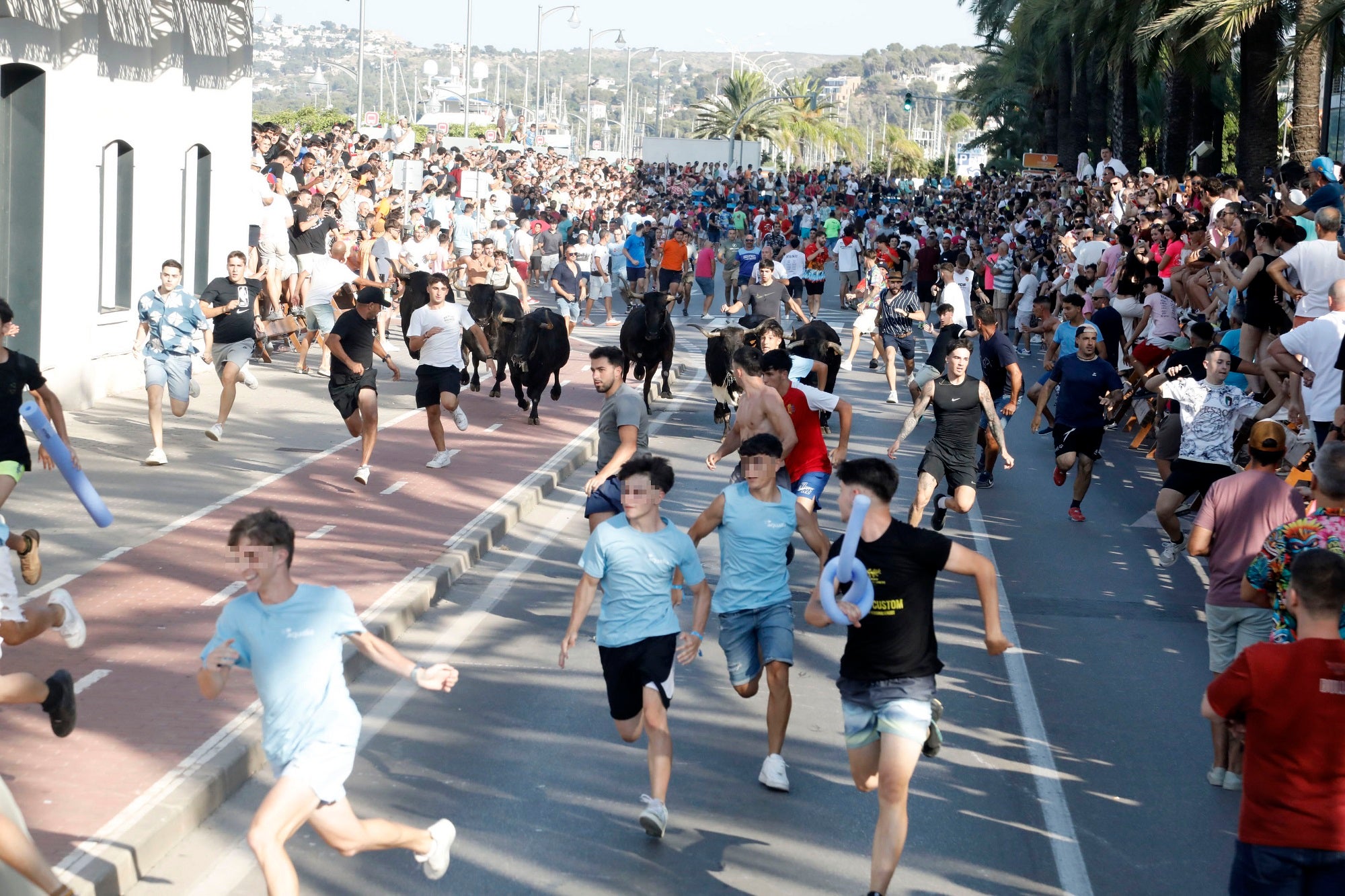 Arriba, corredores en Bous a la Mar. Abajo, manifestación contra los fesstejos.