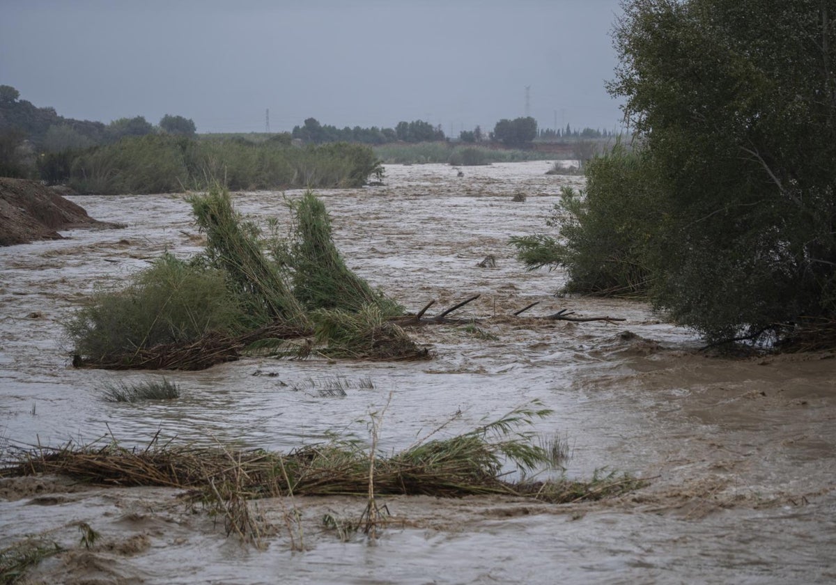 Río Magro a su paso por Alfarp el 29 de octubre.