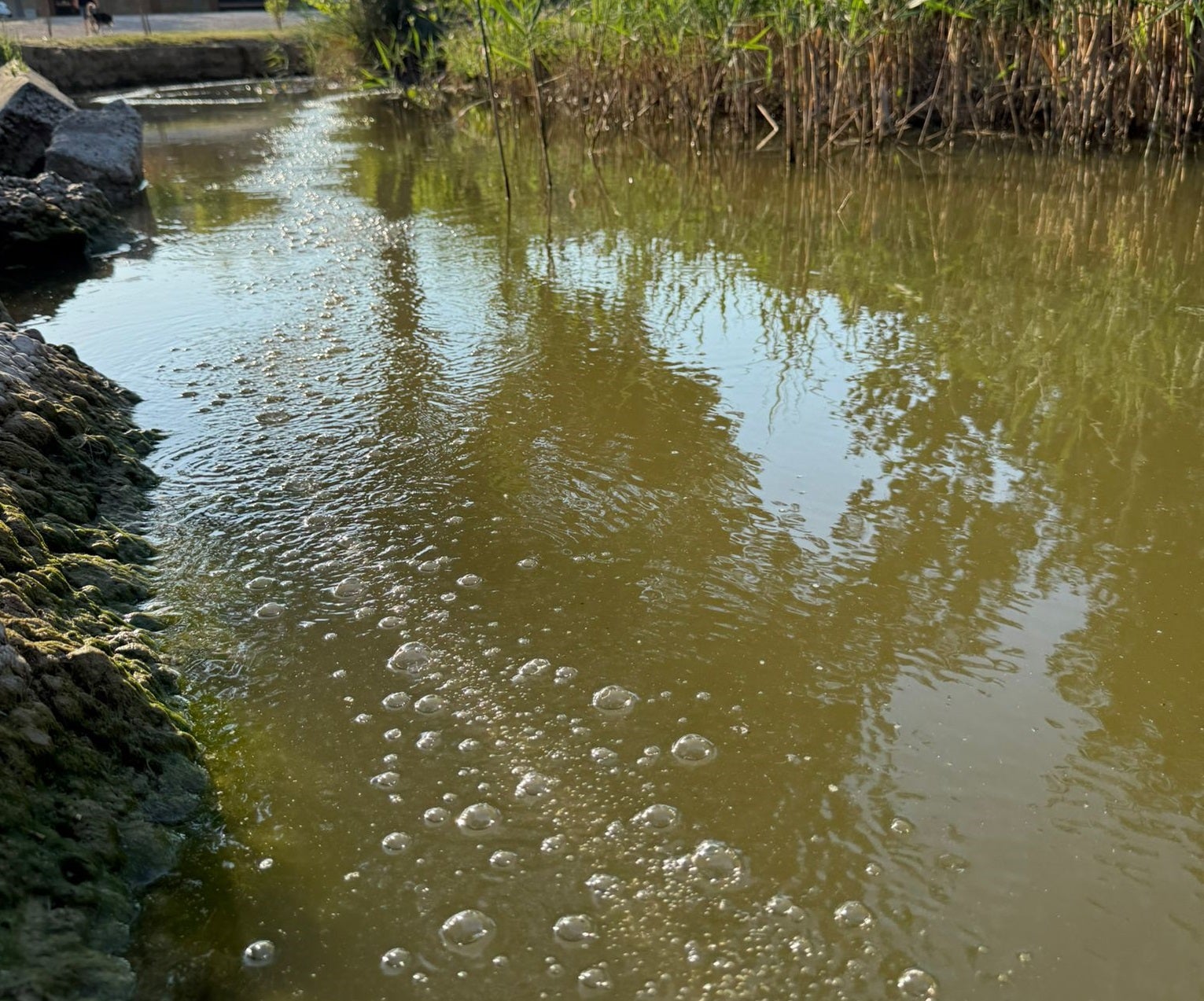 Arriba, sistema de oxigenación implementado por el Ayuntamiento. Abajo, la fauna en un tramo del río tras los trasvases de agua que realiza el Consistorio desde un pozo municipal.