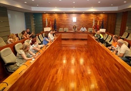 Reunión del CECOPAL este viernes en Torrent.