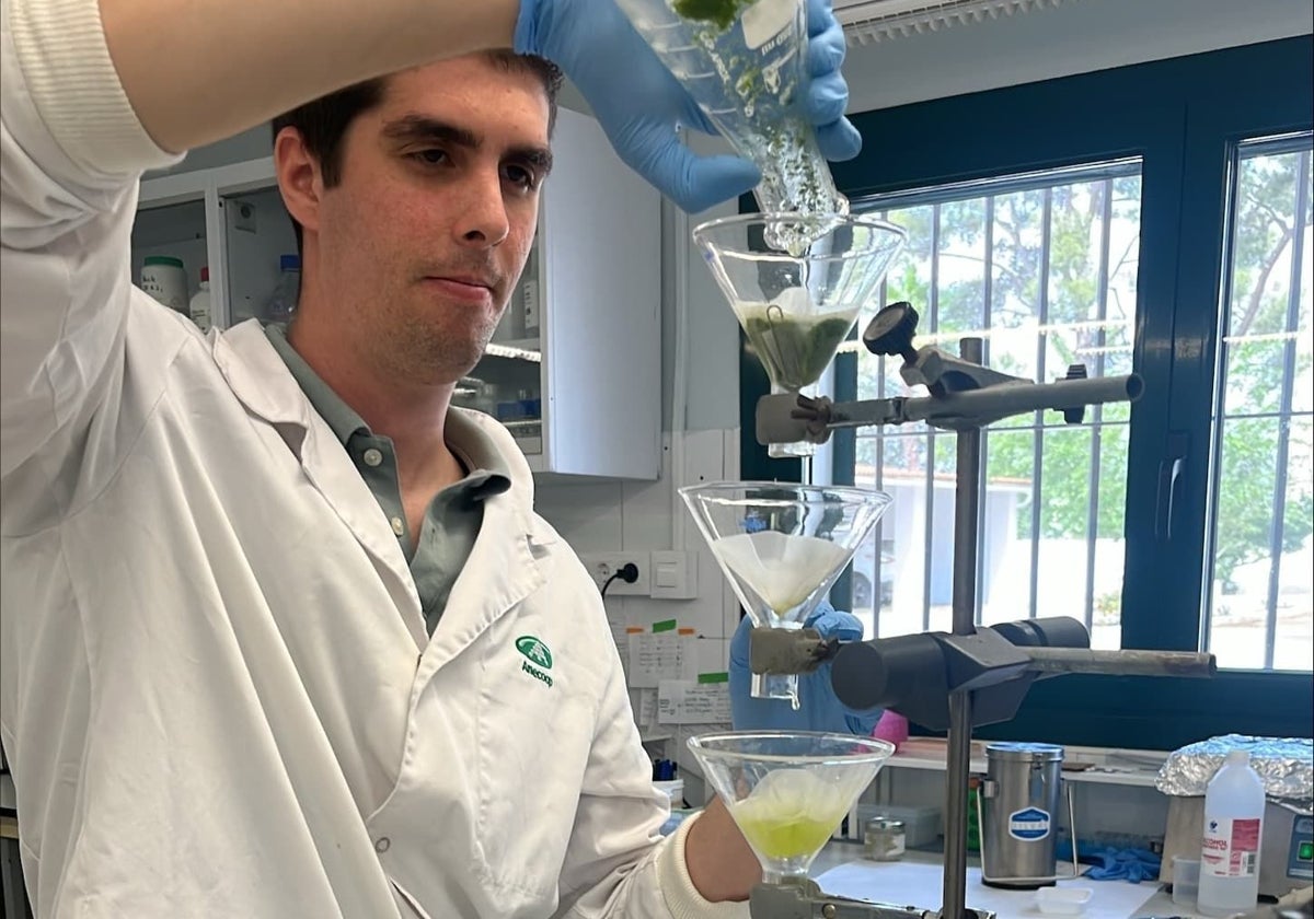 Andrés Cayuela es biotecnólogo especializado en biotecnología celular y molecular de plantas.