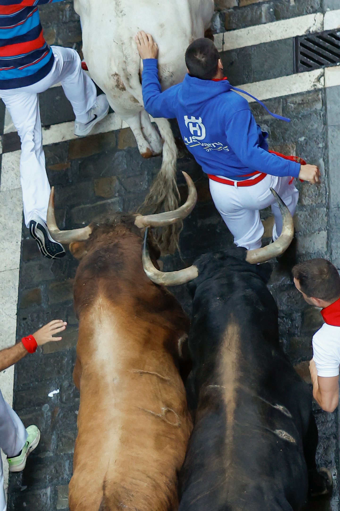 FOTOS | Séptimo encierro de San Fermín 2025