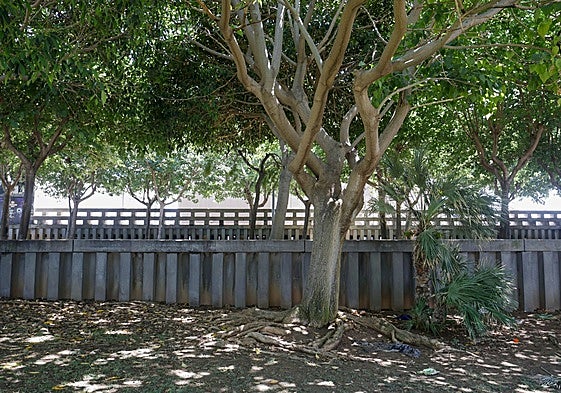 El lugar donde se produjo el alcance por un rayo durante el sábado.