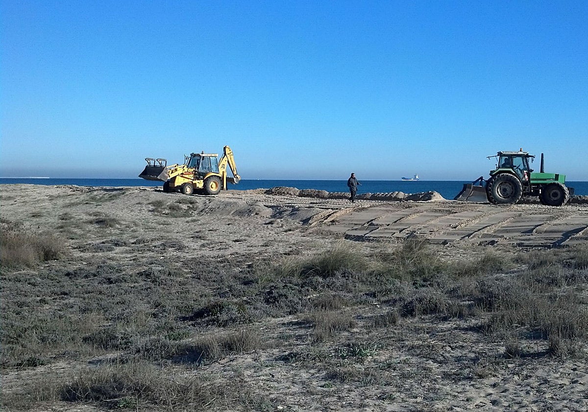 Trabajos de regeneración en la playa del Saler.