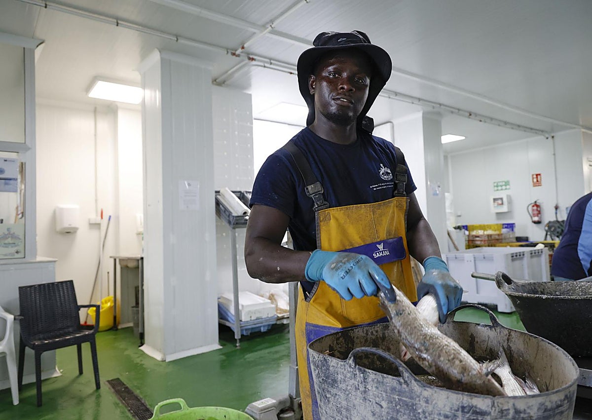 Imagen secundaria 1 - Mustapha empieza con cangrejos y llisses