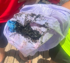 Restos de lo que parece ser hidrocarburos hallados en la playa de Fortí de Vinaròs.