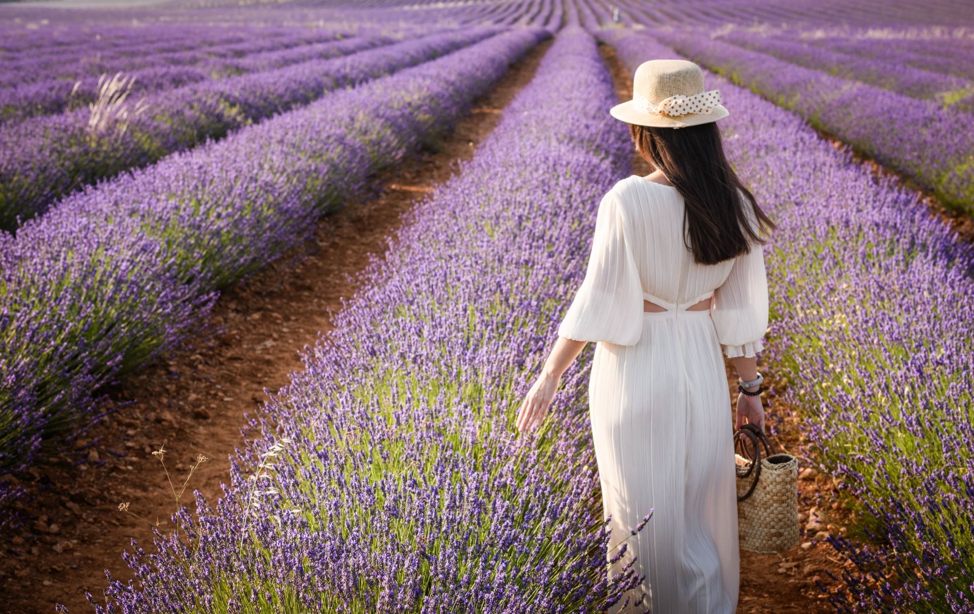 FOTOS | Los románticos campos de lavanda en Brihuega (Guadalajara)