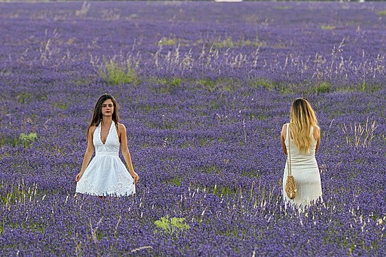 FOTOS | Los románticos campos de lavanda en Brihuega (Guadalajara)