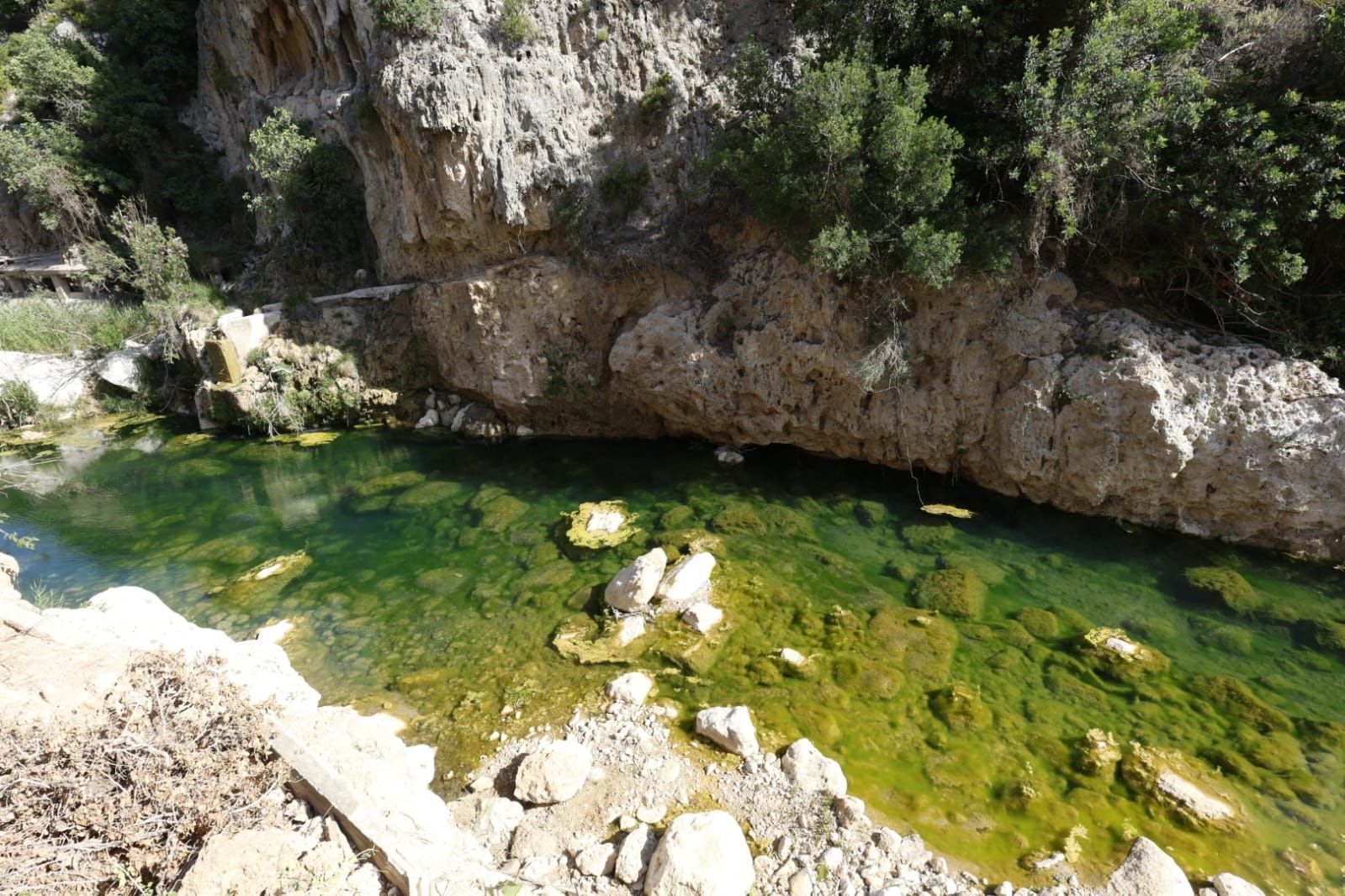 Fotos: Grupos de bañistas sufren nuevas infecciones en aguas del río Buñol